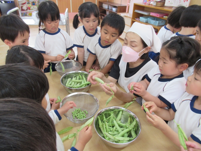 豆を触っている様子